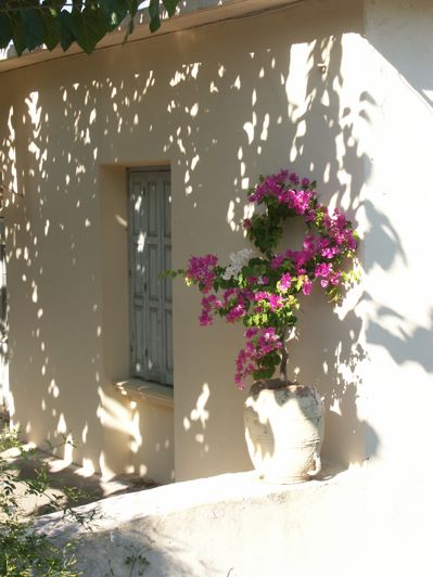 Image No.8-Villa de 3 chambres à vendre