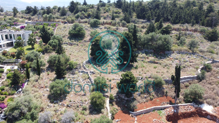 Image No.5-Villa de 4 chambres à vendre à Vamos