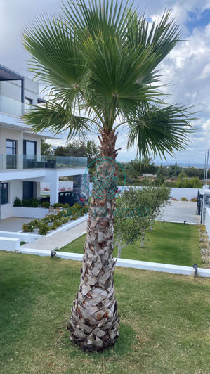 Image No.34-Villa de 5 chambres à vendre à Grèce