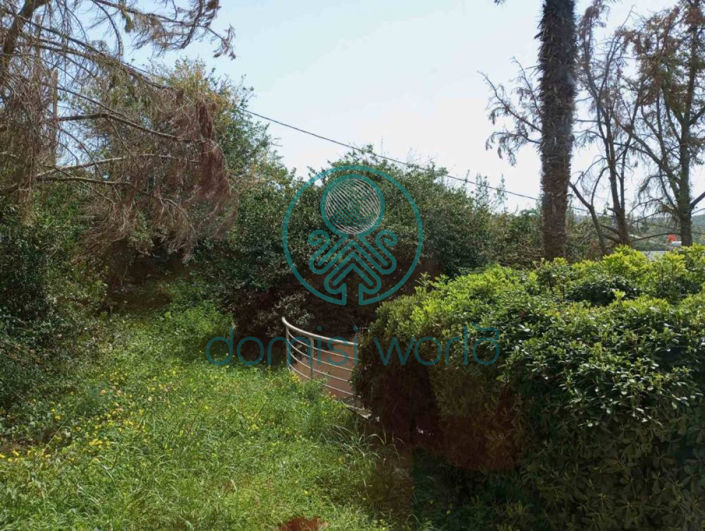 Image No.2-Appartement de 3 chambres à vendre à Grèce