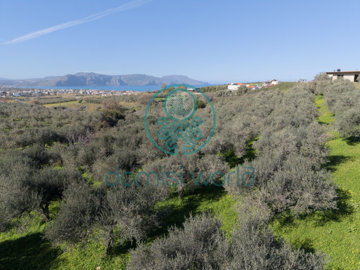 1-9565350