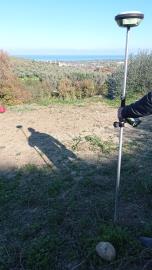 IMG_20241219_103150
