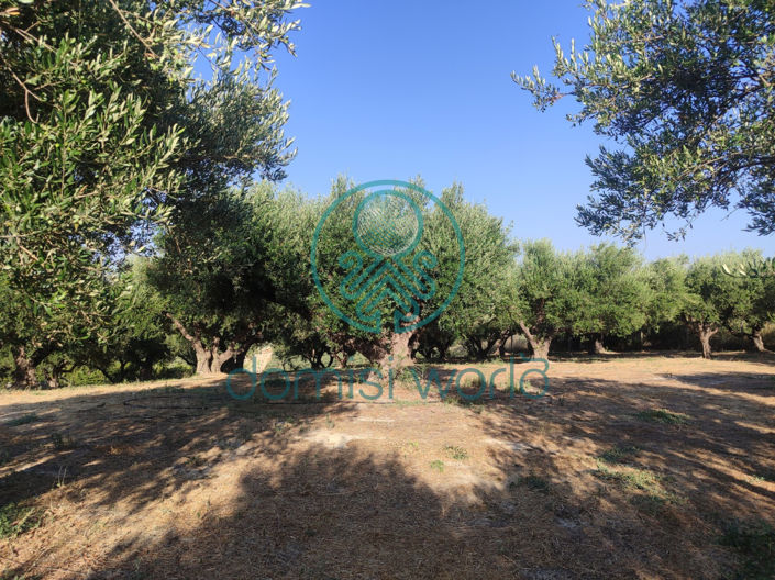Image No.39-4 Bed Villa / Detached for sale