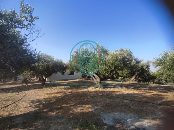 Image No.41-4 Bed Villa / Detached for sale