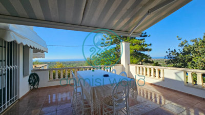 3-12563626