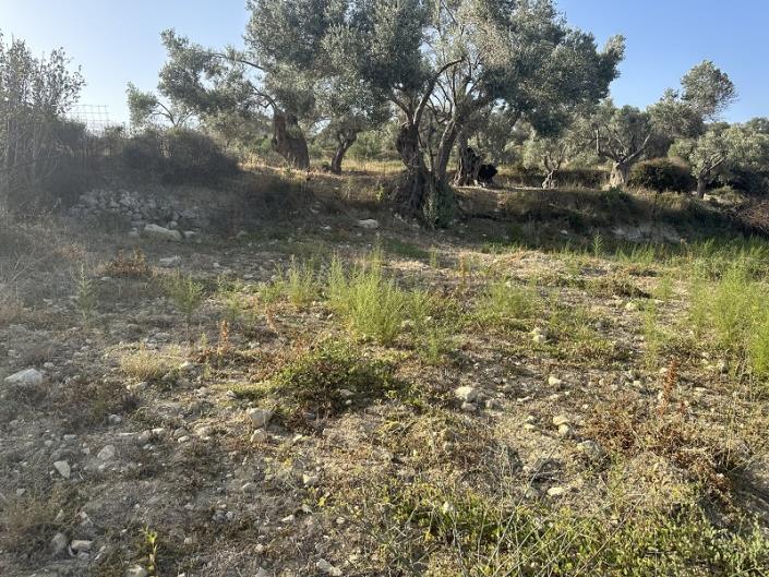 Image No.10-Terre à vendre à Ag Paraskevi