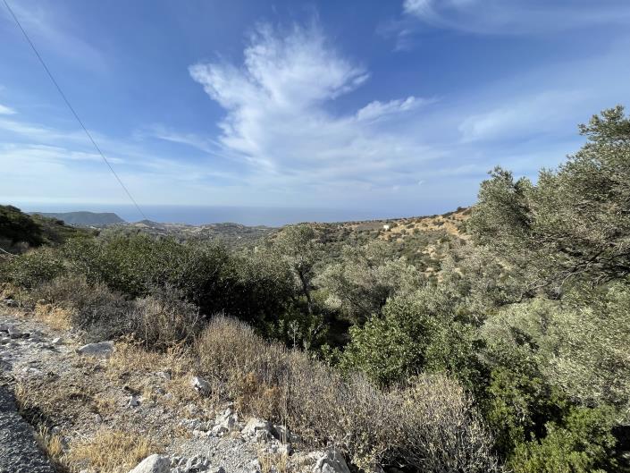 Image No.1-Plot for sale