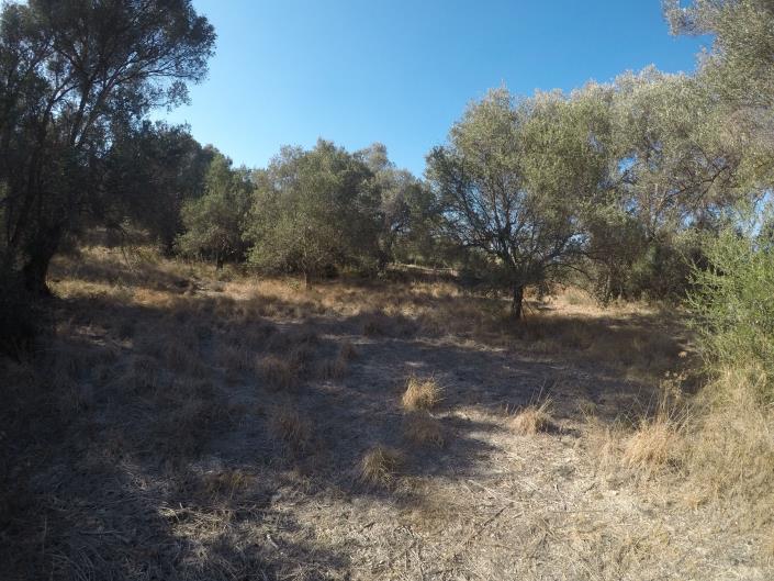 Image No.6-Terrain à vendre à Pigi