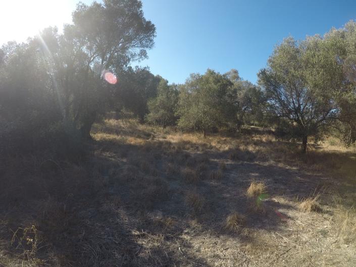 Image No.7-Terrain à vendre à Pigi