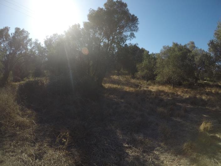 Image No.8-Terrain à vendre à Pigi