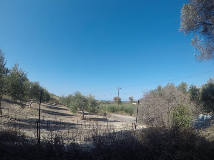 Image No.9-Terrain à vendre à Pigi