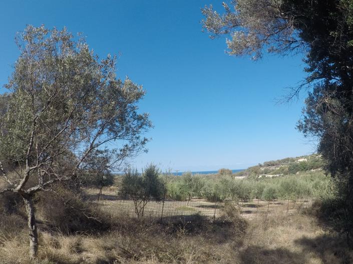 Image No.10-Terrain à vendre à Pigi