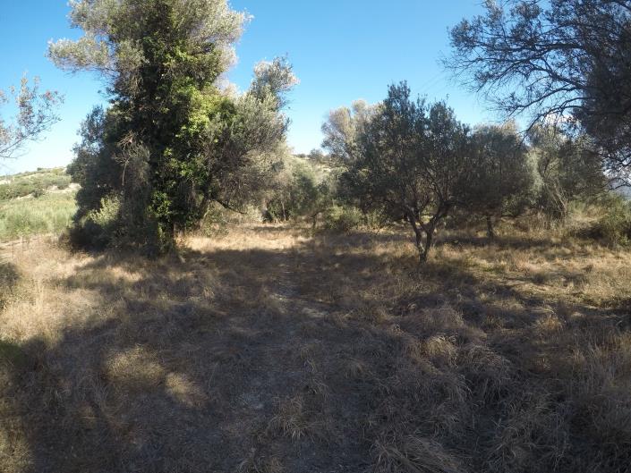 Image No.11-Terrain à vendre à Pigi