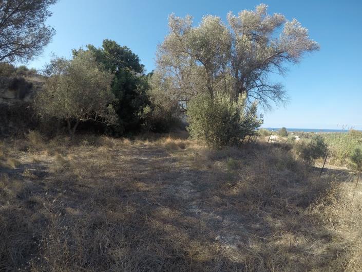 Image No.12-Terrain à vendre à Pigi