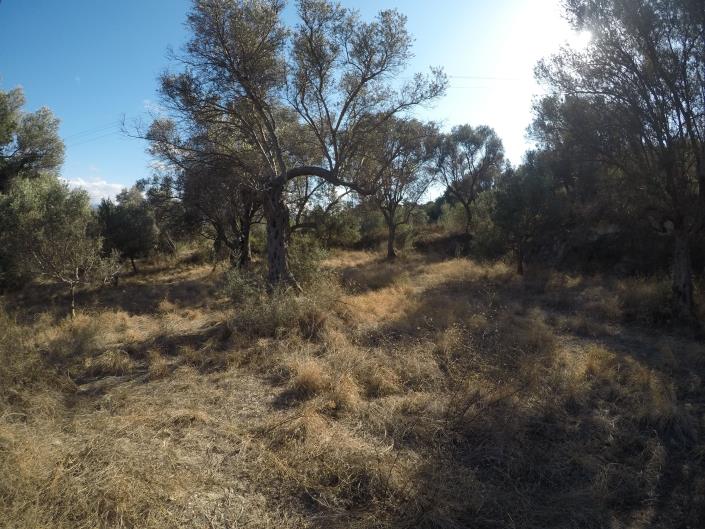 Image No.13-Terrain à vendre à Pigi