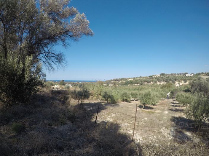 Image No.14-Terrain à vendre à Pigi