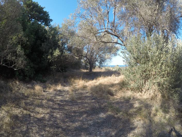 Image No.15-Terrain à vendre à Pigi