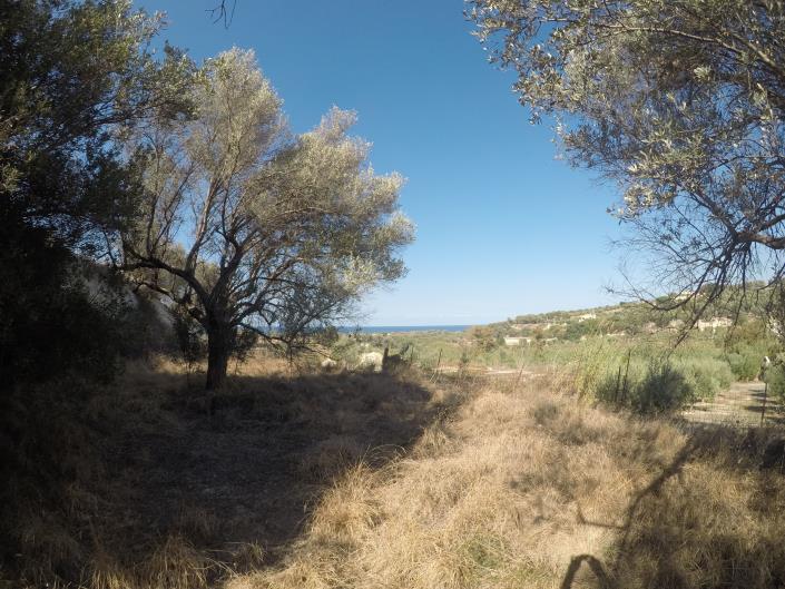 Image No.16-Terrain à vendre à Pigi