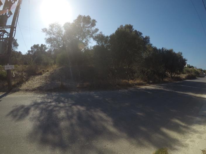 Image No.5-Terrain à vendre à Pigi