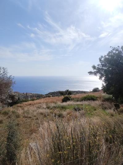 Image No.3-Terrain à vendre à Triopetra