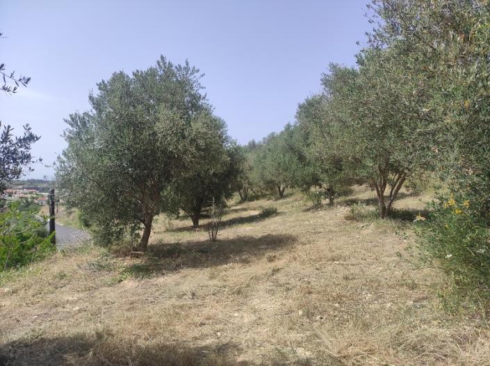 Image No.5-Plot for sale