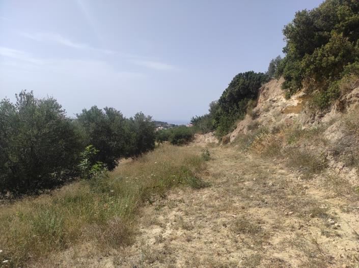 Image No.10-Plot for sale