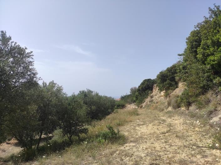 Image No.17-Plot for sale