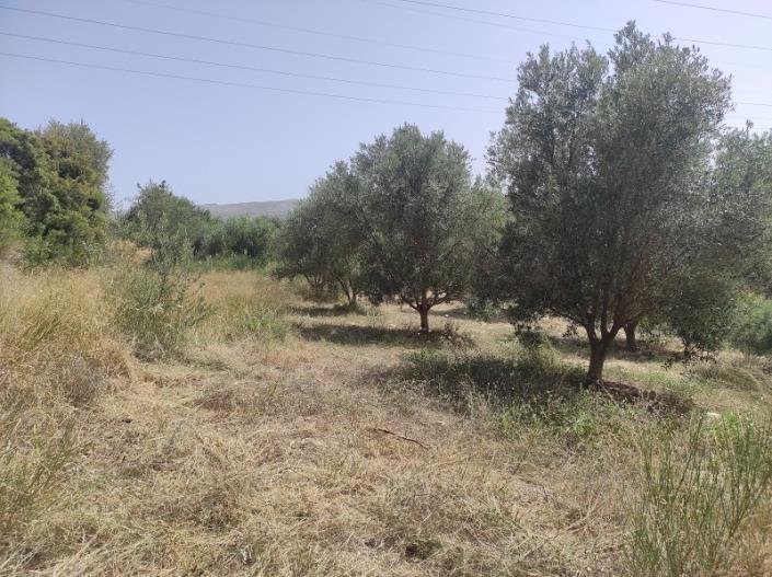 Image No.19-Plot for sale