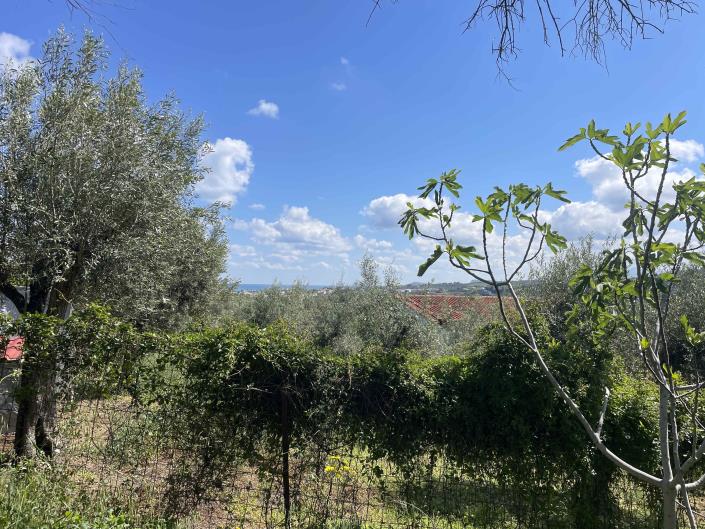 Image No.4-Plot for sale