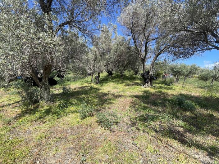 Image No.7-Plot for sale