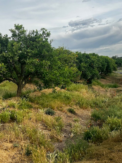 Image No.21-Villa de 4 chambres à vendre à Cartaya