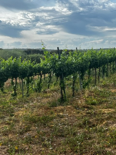 Image No.22-Villa de 4 chambres à vendre à Cartaya