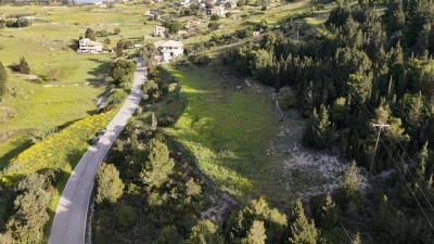 dji_fly_20250411_085120_0_1744350680163_photo_low_quality