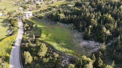 dji_fly_20250411_085117_0_1744350677057_photo_low_quality