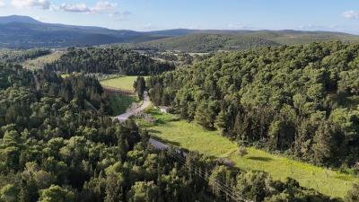 dji_fly_20250411_085148_0_1744350708109_photo_low_quality
