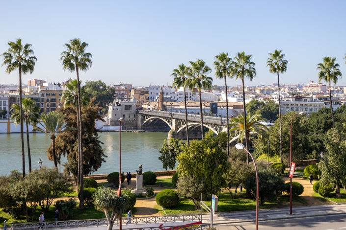 Image No.2-Propriété à vendre à Sevilla