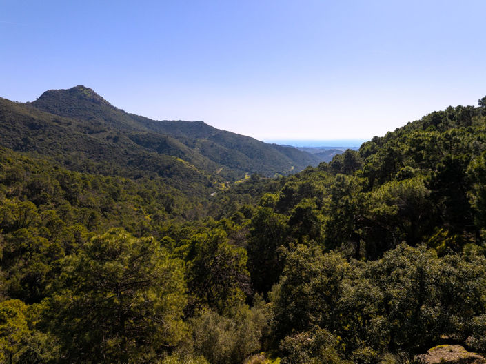 Image No.15-Terrain à vendre à Benahavis