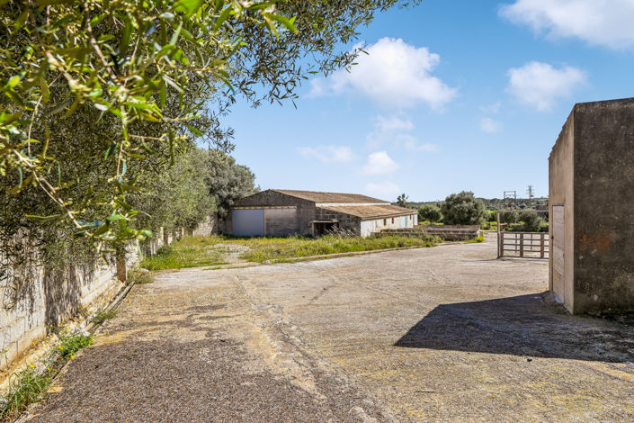 Image No.6-Plot for sale