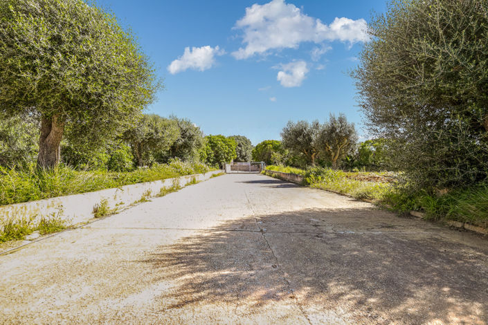 Image No.8-Plot for sale