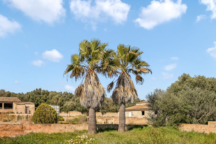 Image No.9-Plot for sale