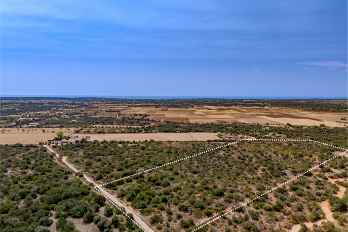 Image No.3-Terrain à vendre à Santanyí