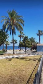 146labeachliving05022620455048cefcb145f5497d9