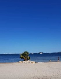 146labeachliving030226143017c6fb47450f6148608