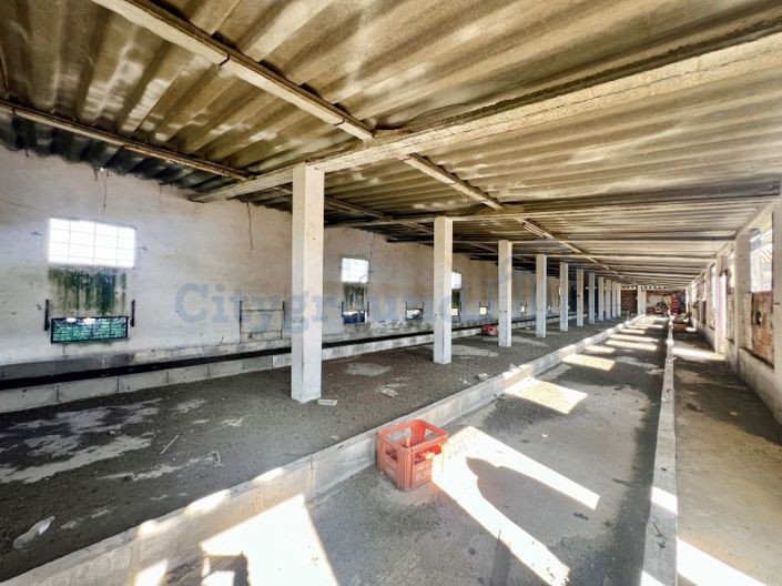 Image No.51-14 Bed Farmhouse for sale