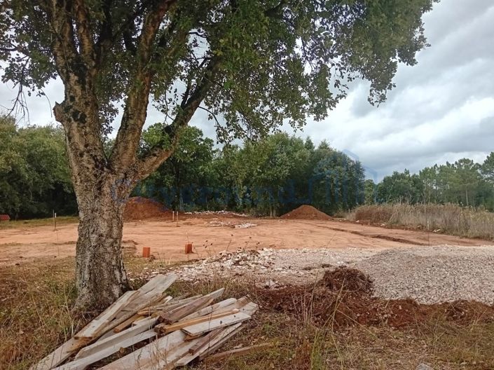 Image No.16-Maison de 3 chambres à vendre à Alcobaça