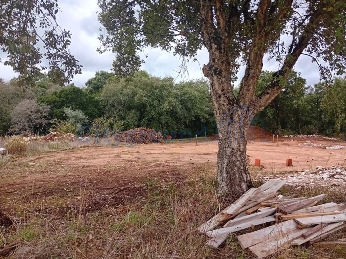 Image No.17-Maison de 3 chambres à vendre à Alcobaça