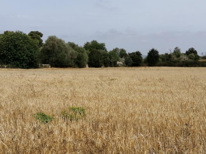 Image No.4-Land for sale