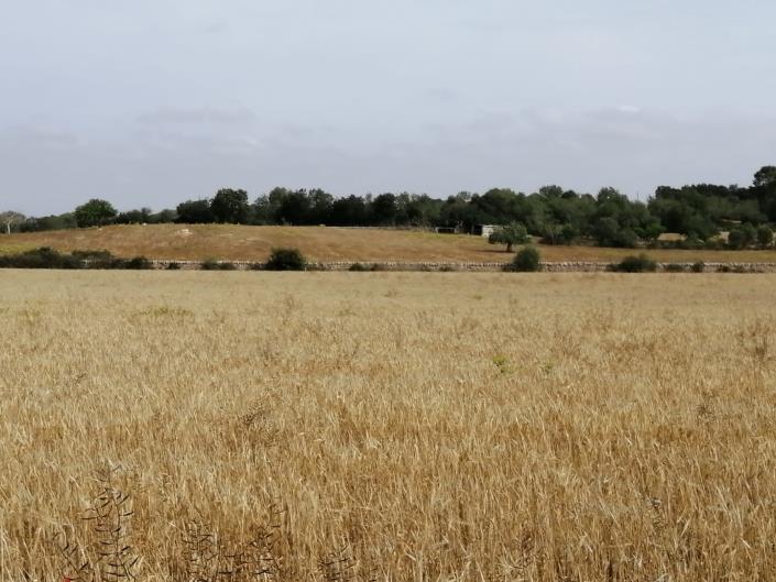 Image No.3-Land for sale