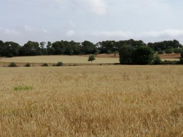 IMG-20230727-WA0047