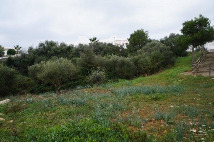 Image No.4-Terrain à vendre à Cala d'Or